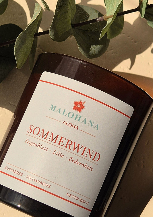 Sommerwind – frische Klarheit & kühle Brise